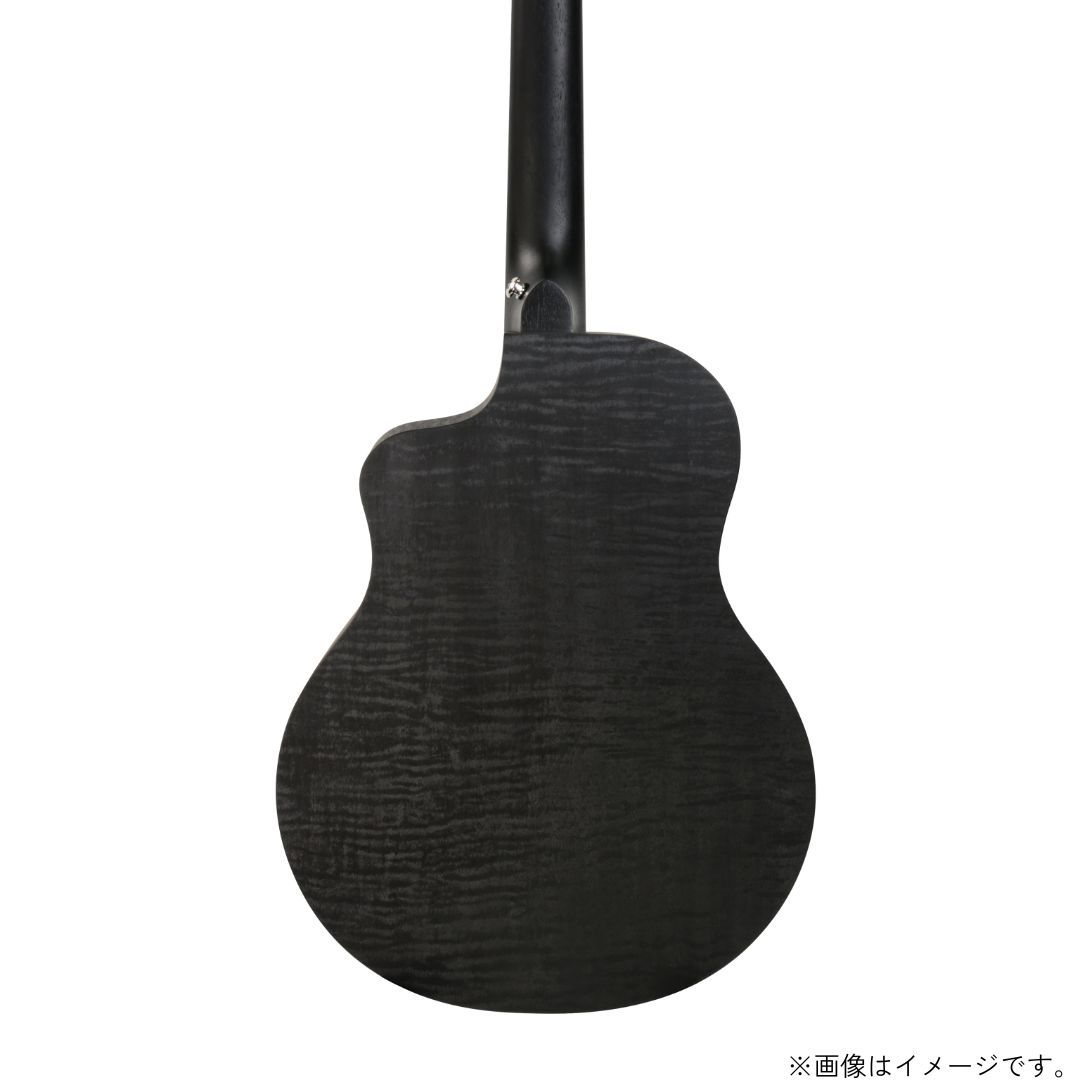 NATASHA Black Hole Mini（新品/送料無料）【楽器検索デジマート】