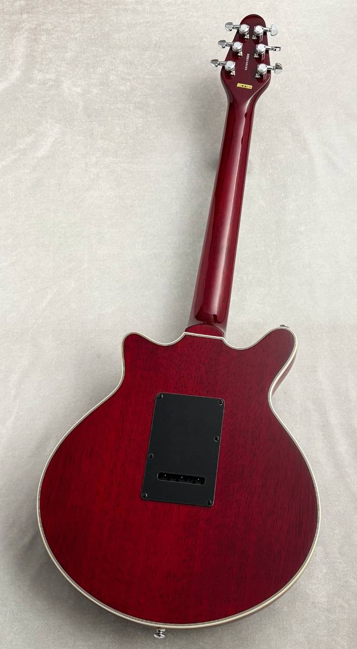 Brian May Guitars BMG Special 
