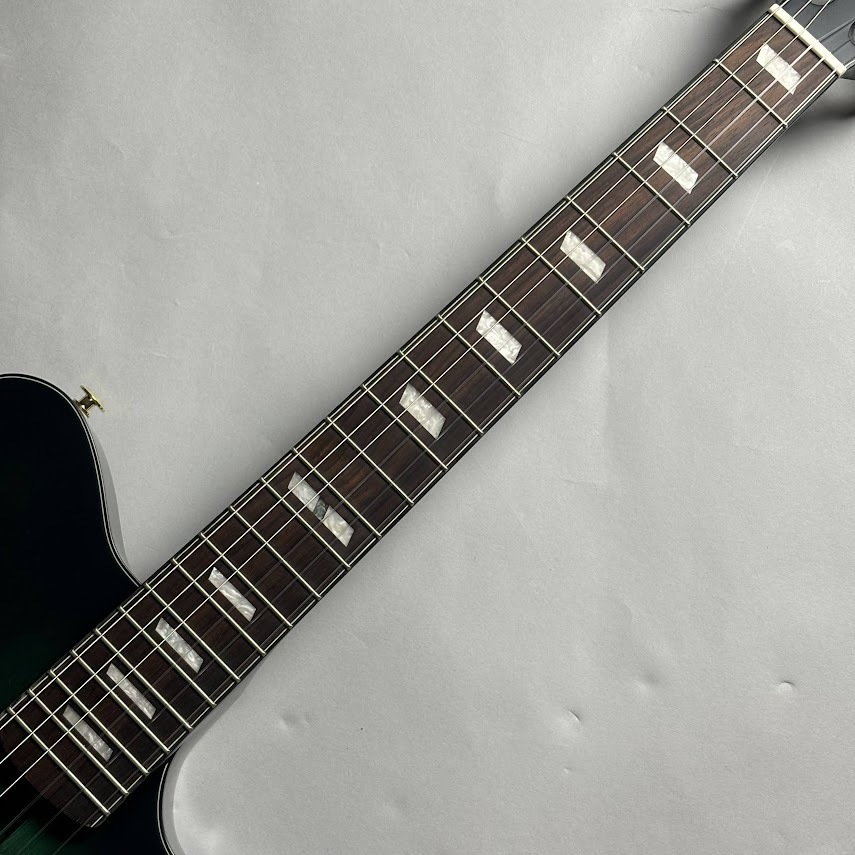 Ibanez FRH20FMN エレガットギター【現物写真】（新品/送料無料