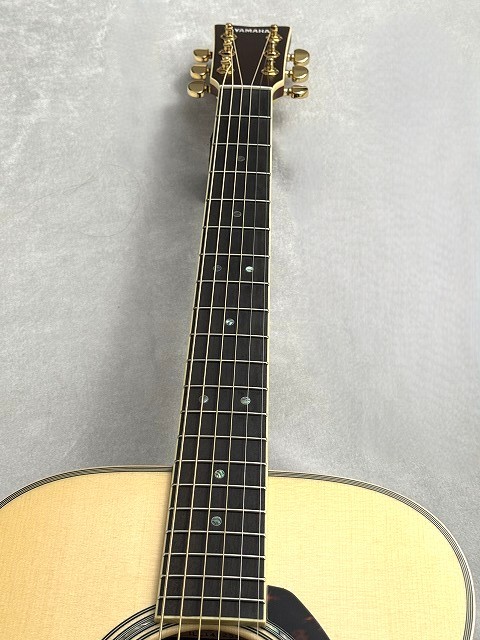 YAMAHA 【最初の1本ならまずはコレ!】LS16 ARE【オール単板