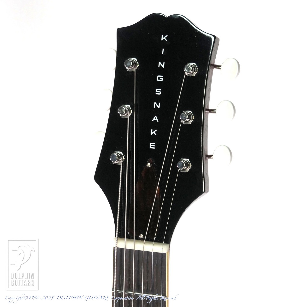 KING SNAKE CURTIS Deep Body Amber Natural（中古）【楽器検索