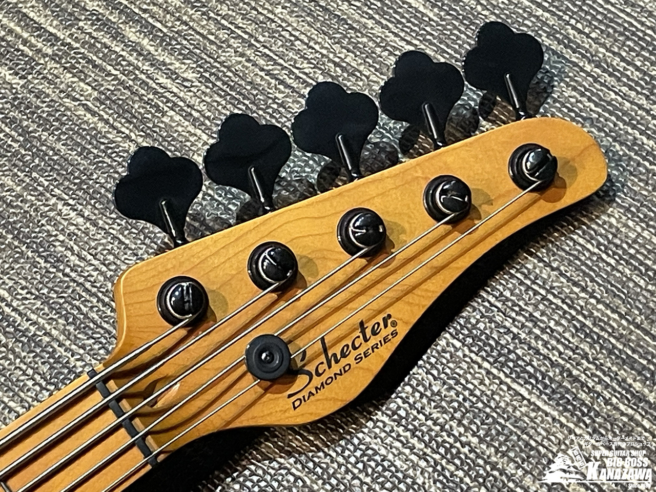 SCHECTER MODEL-T SESSION 5 [AD-MT-SS-5]【希少なTLベース5弦