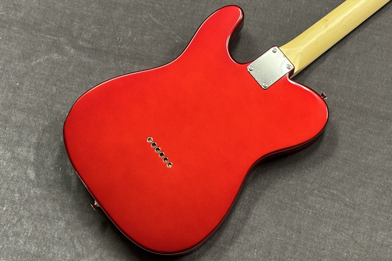 FUJIGEN(FGN) BCTE100RBD-CAR/01【GIB兵庫】（B級特価/送料無料