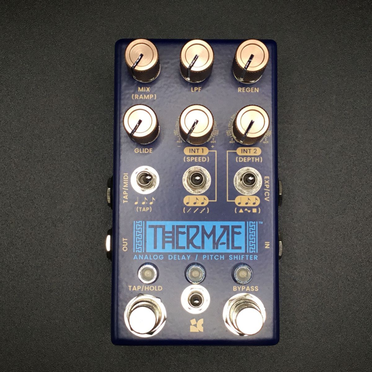 Chase Bliss Audio THERMAE【現物写真】（新品/送料無料）【楽器検索 