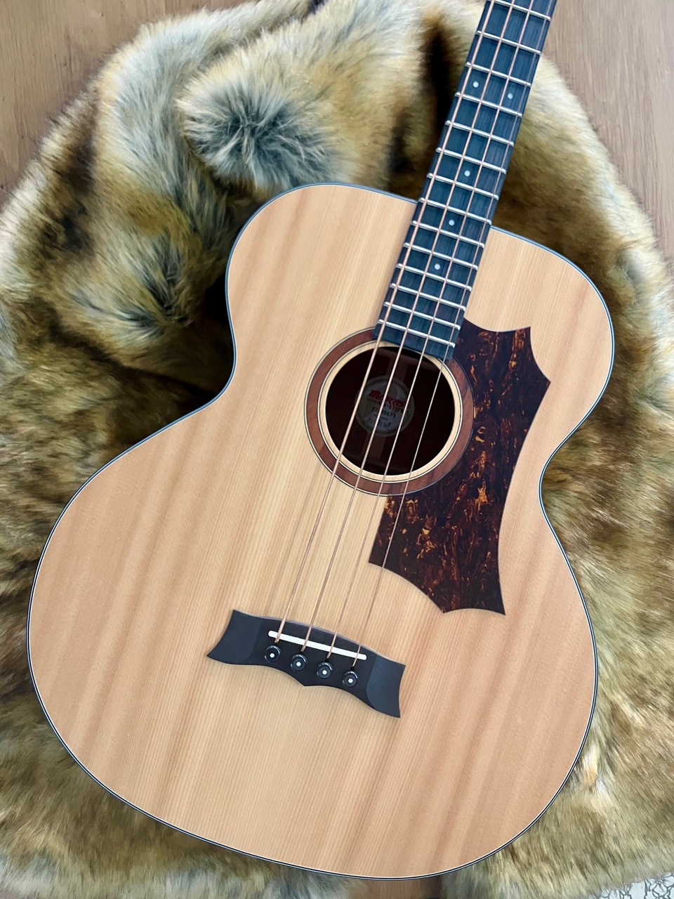 Morris MJB-011E, NT, Acoustic Bass【清水巴町本店】（新品特価 
