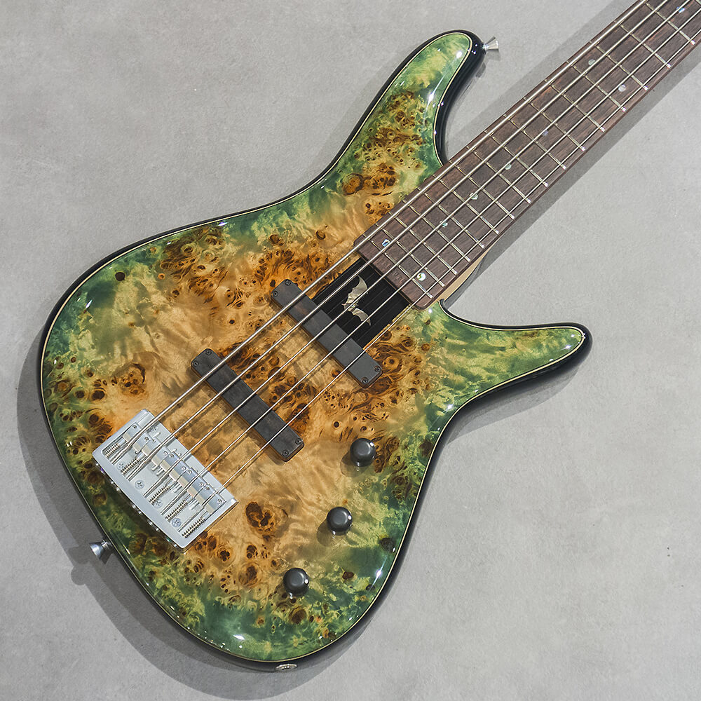 昼寝さん専用　sugi NB5IR POP/ALD2P GLR Sugi NB5] Introducing the recommended Japanese high-end bass