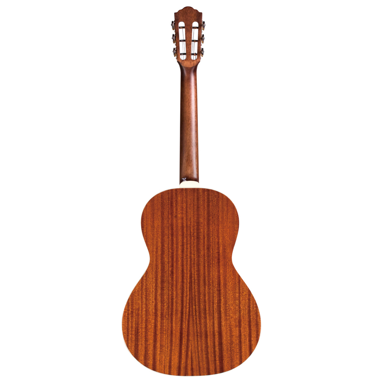 GUILD P-240 MEMOIR NAT【Webショップ限定】（新品/送料無料）【楽器