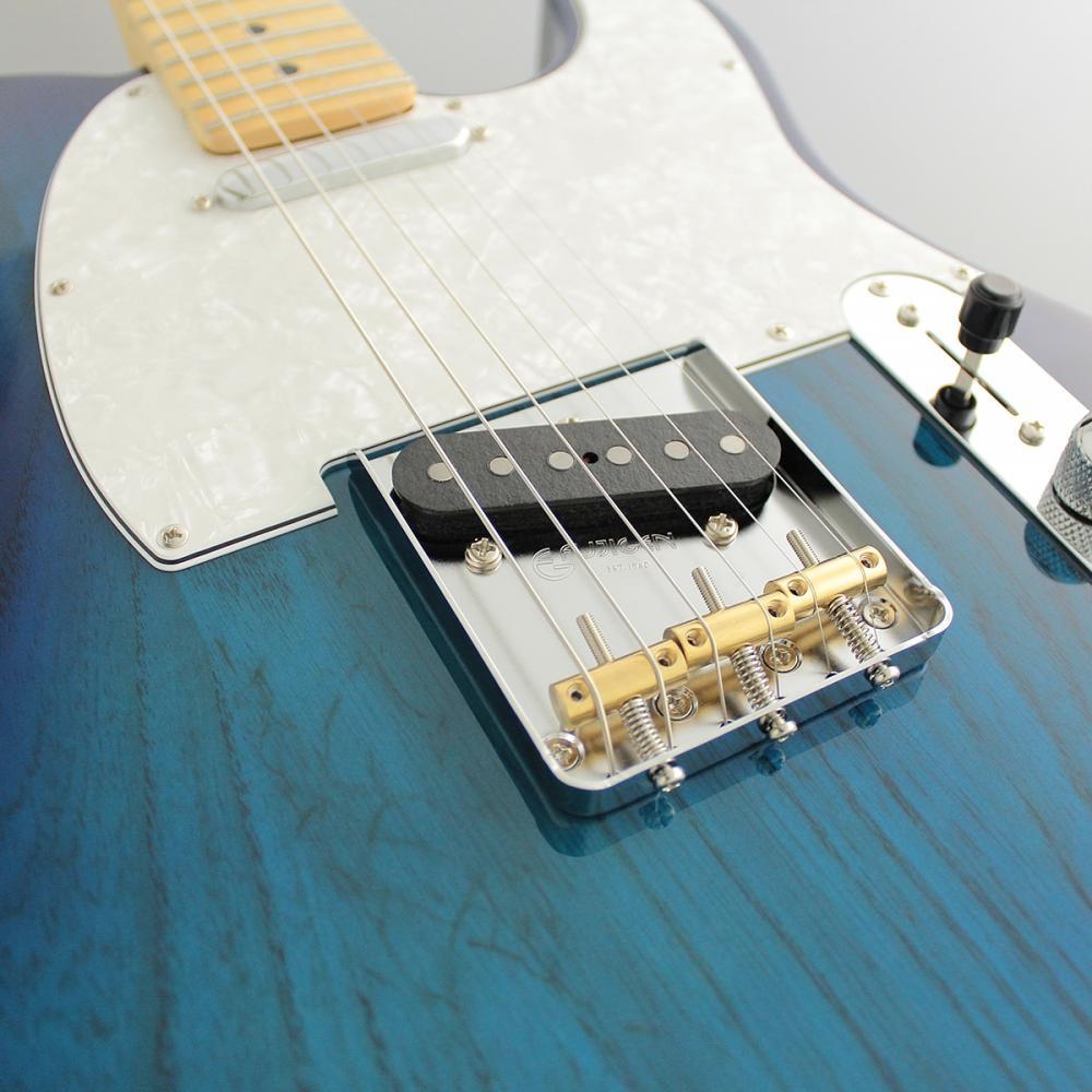 FUJIGEN(FGN) Neo Classic NTE Series NTE100MAH-SBB (See-Thru