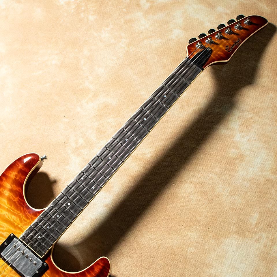 Combat ST-WARM Ice Tea Burst w/Curtis Novak（新品）【楽器検索
