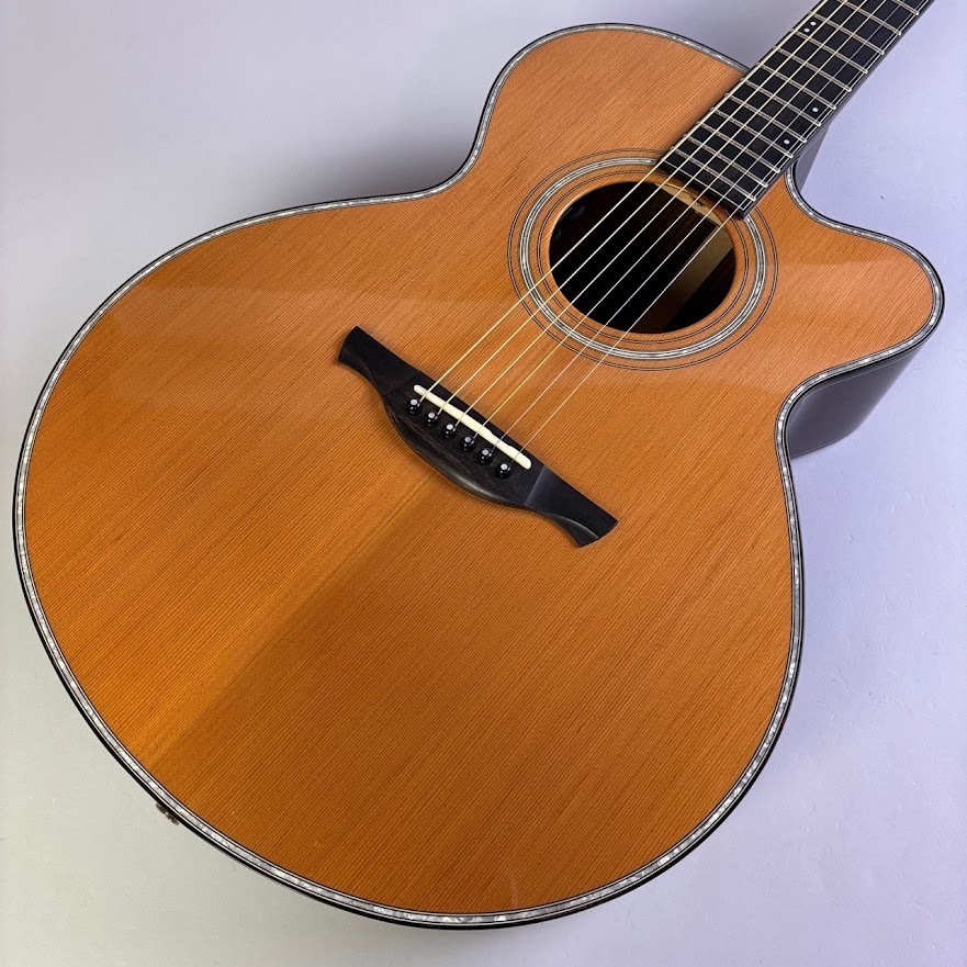 HISTORY NT-301CA（中古/送料無料）【楽器検索デジマート】