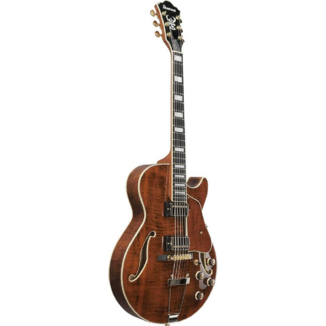 Ibanez 【スポット生産!!】AG95MG-DA(Dark Amber)【オンラインストア