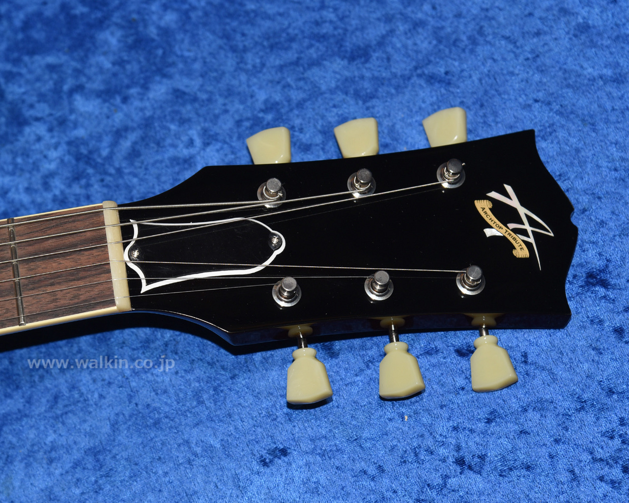Archtop Tribute AT150D（新品）【楽器検索デジマート】