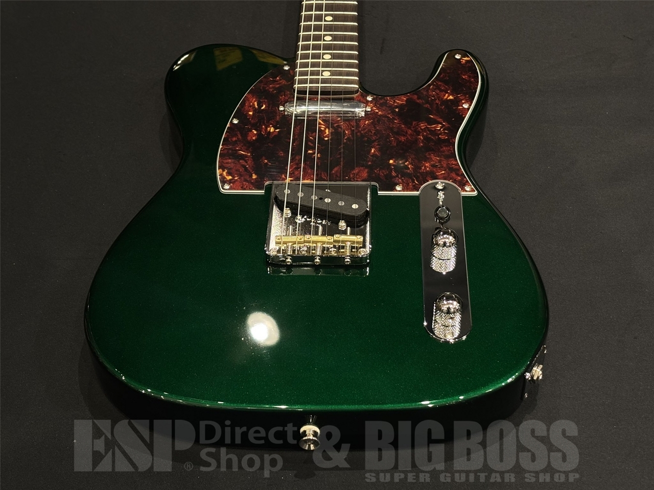 FUJIGEN(FGN) NTE100RAL / Candy Apple Green（新品/送料無料）【楽器