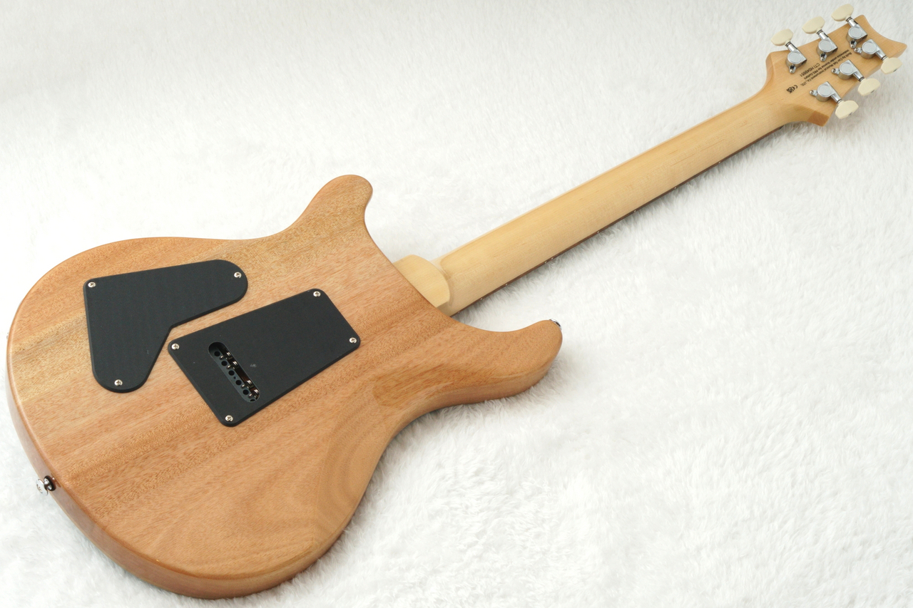 Paul Reed Smith(PRS) 2025 SE CUSTOM 24 ～Slate Blue～ #CTIH049951