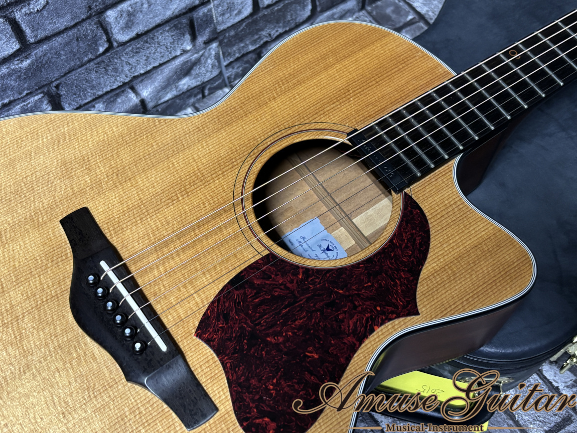 K.Yairi TRINITY 80th 2015年製【Shadow Nano Mag PU】w/Original Hard