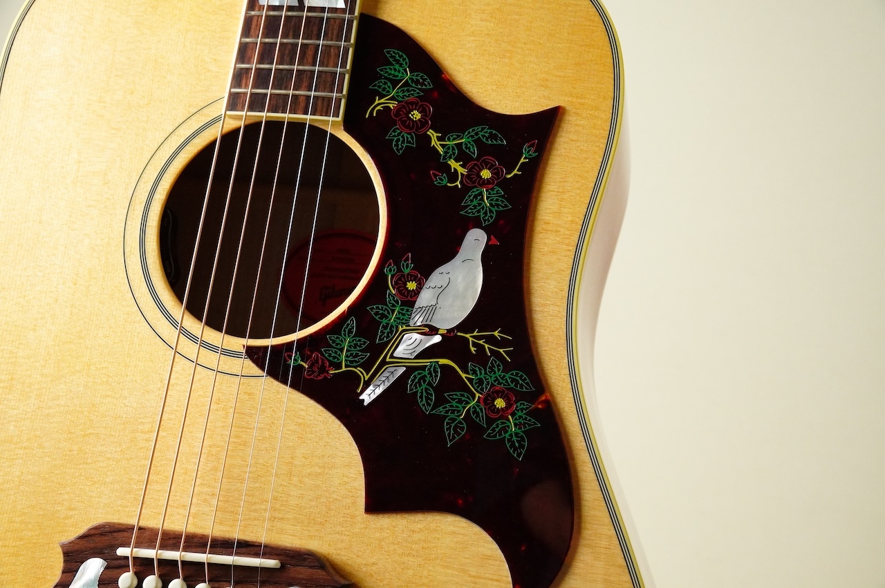 Gibson Dove Original AN #20734106【2024年製 NEW】（新品/送料無料）【楽器検索デジマート】