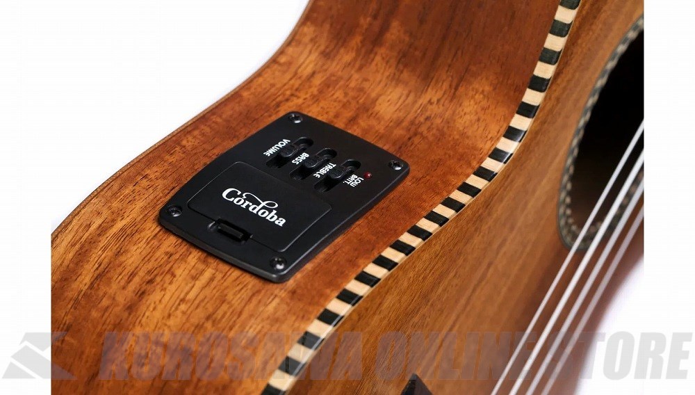 Cordoba 25T-CE（新品）【楽器検索デジマート】