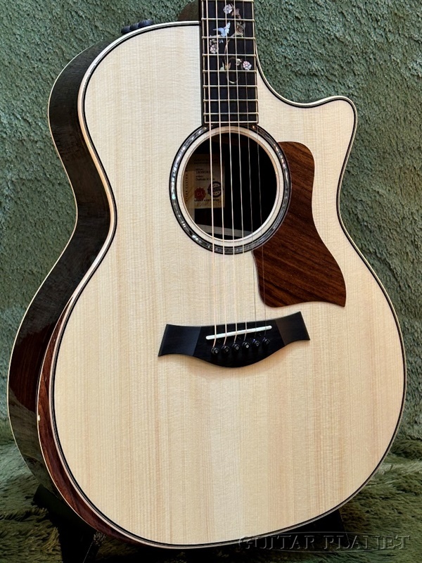Taylor Custom 914ce Cindy -Adirondack Spruce×Indian Rosewood