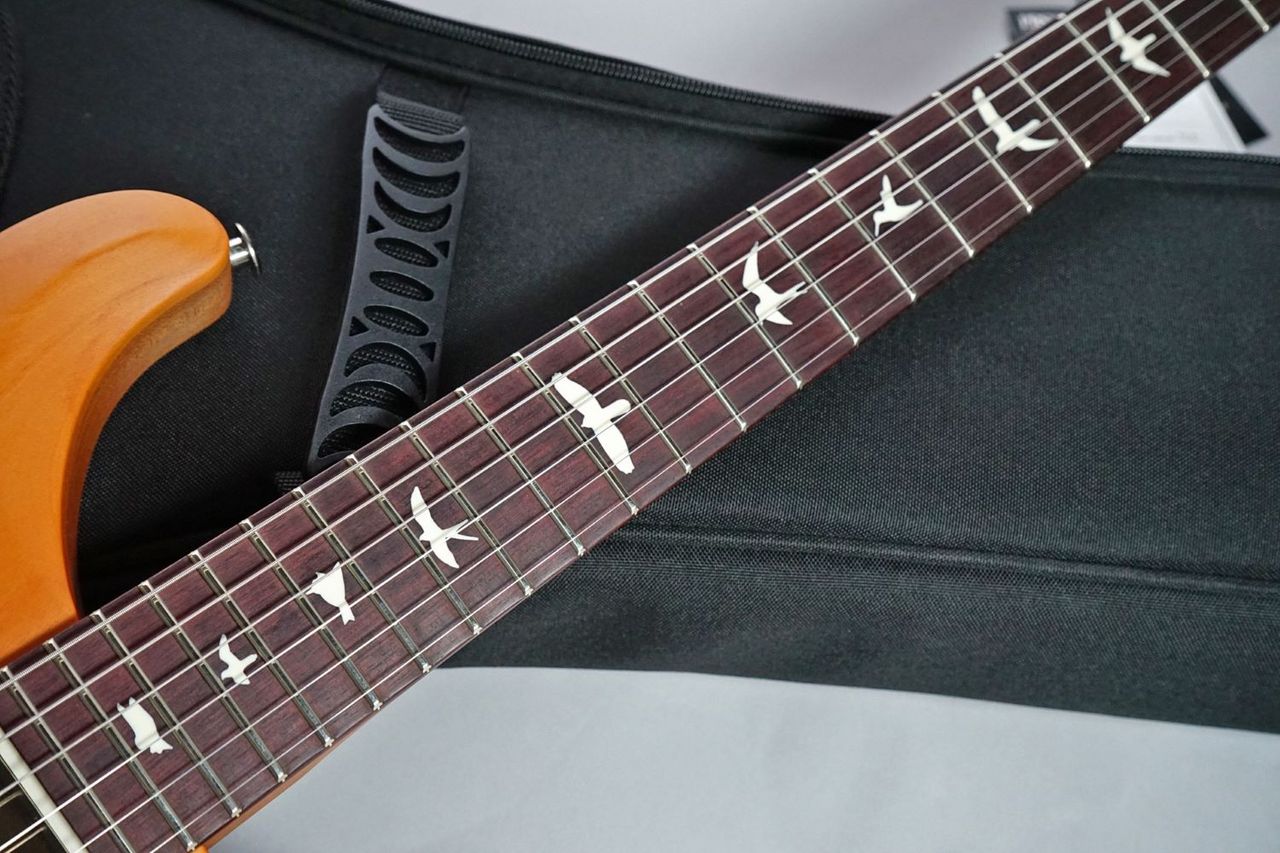 Paul Reed Smith(PRS) S2 Special Semi-Hollow Reclaimed Limited