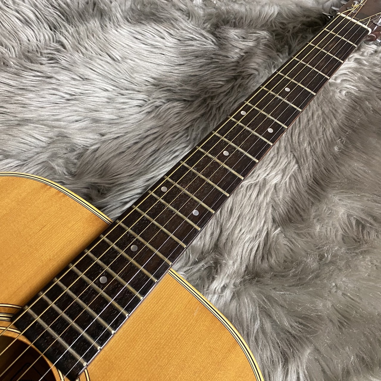 Morris W-20【ジャンク】【現物画像】（中古）【楽器検索