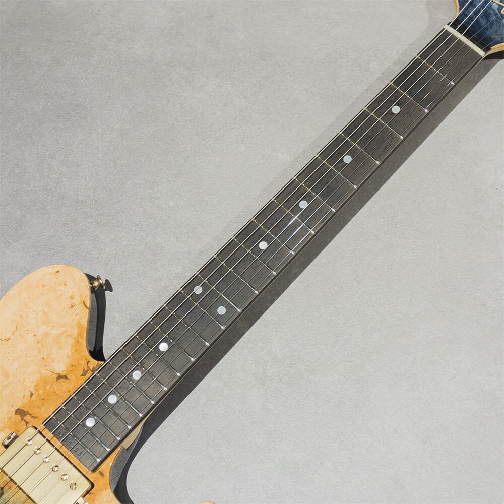 Sugi DS496E BM-PRM/HM/ALD/SBL Gradation【分割48回払いまで金利