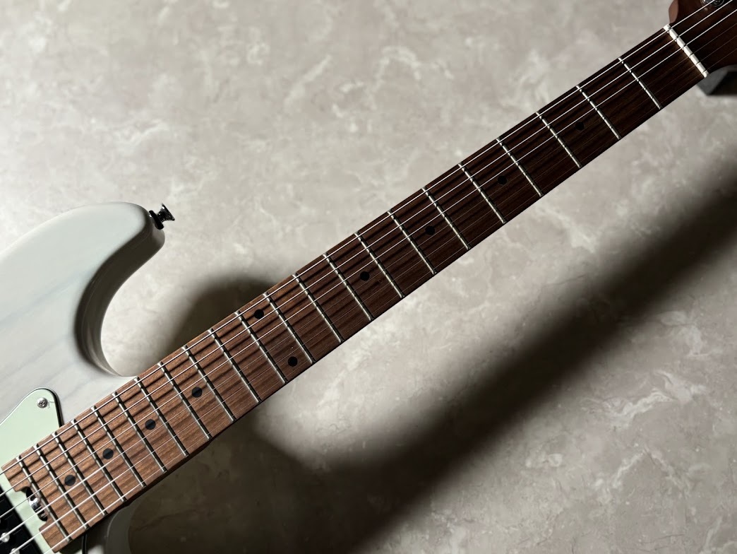 Bacchus BSH-900ASH/RSM【現物画像・3.85kg】（新品特価/送料無料