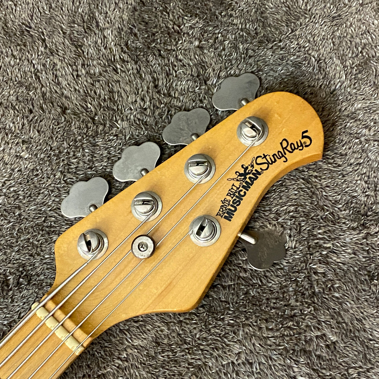 Ernie Ball MUSIC MAN 限定ハードケース / ミュージックマン