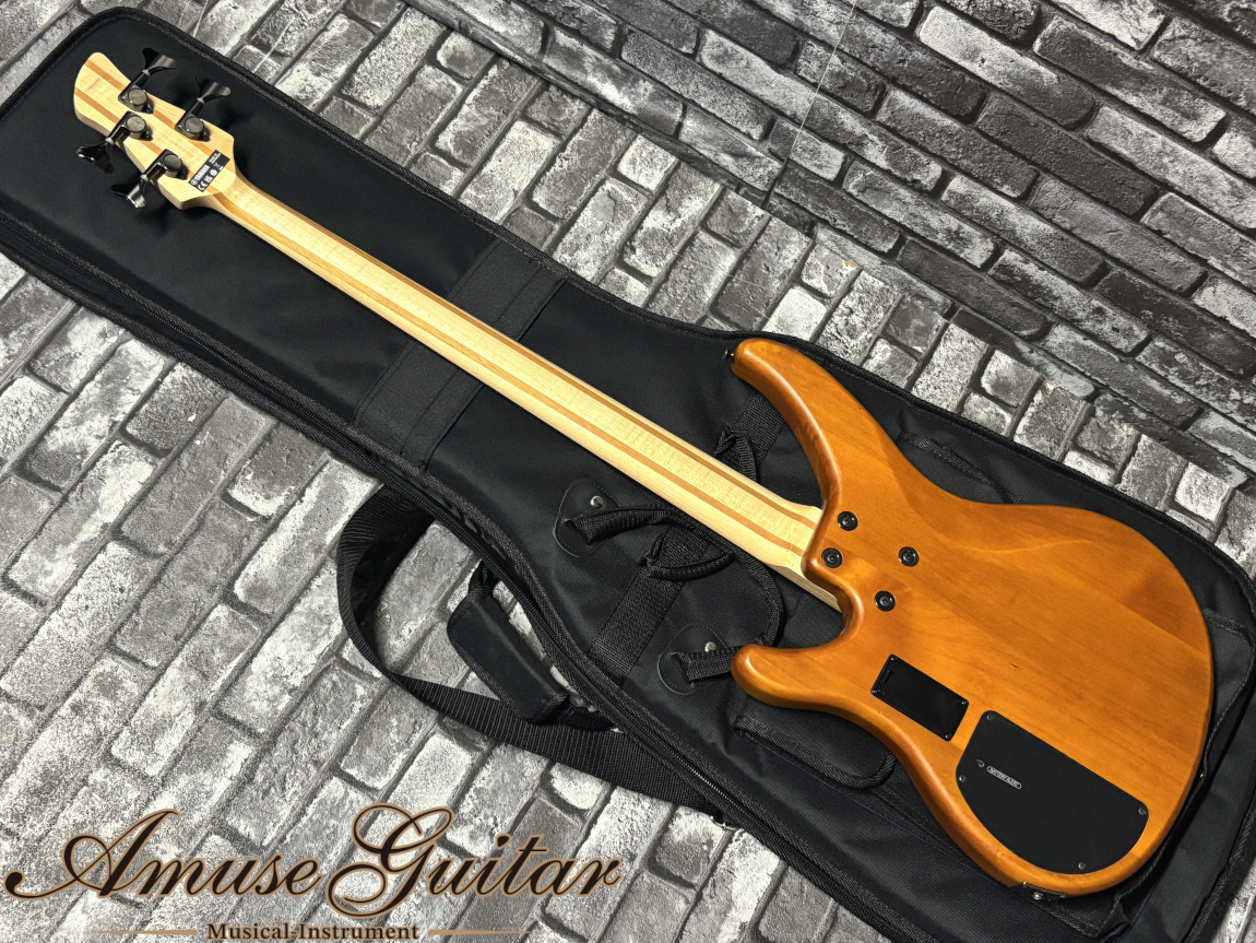 YAMAHA TRBX604FM #MAM(Matt Amber) 2024年製【Amazingly Beautiful