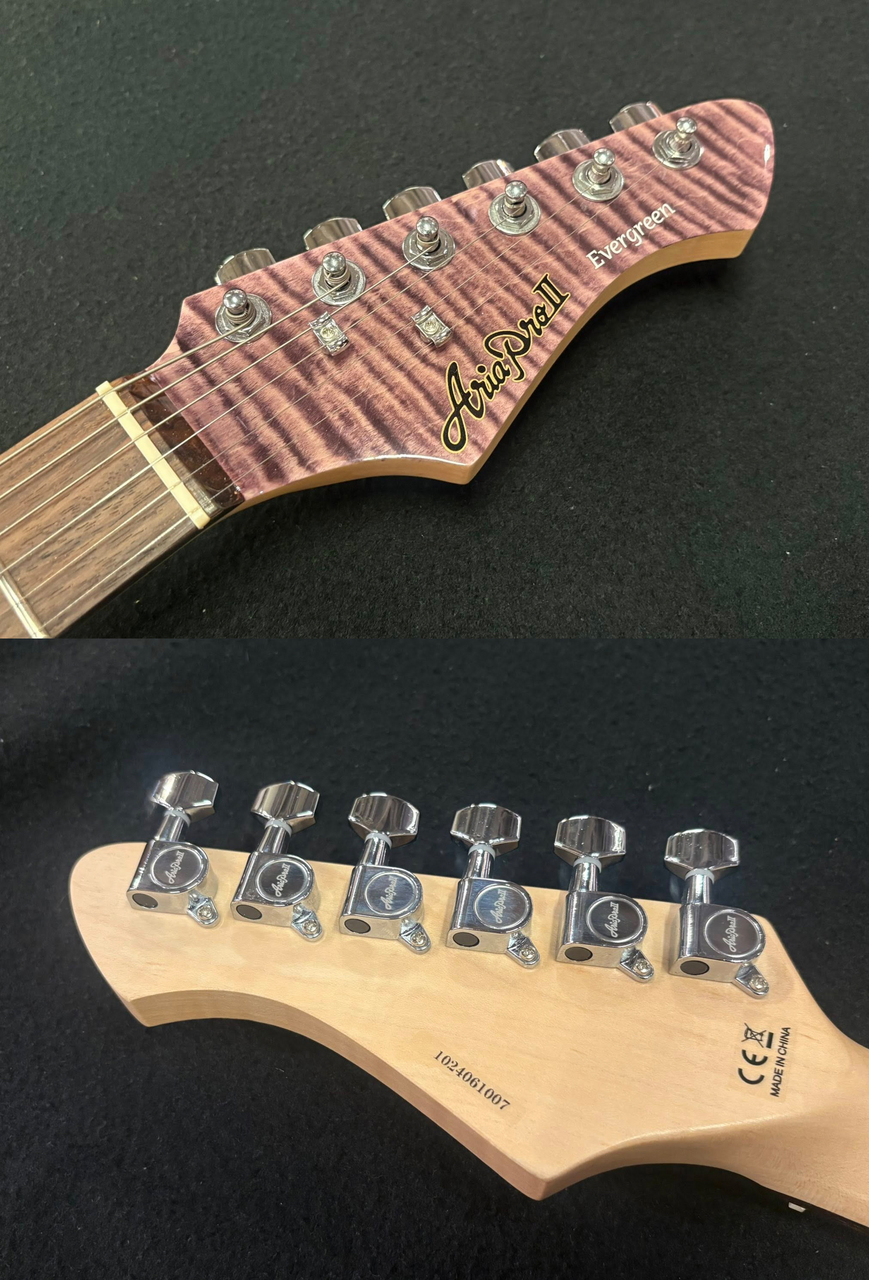 ARIA  714-AE200 LV Evergreen エレキギター 714ae200_bkdm.jpg