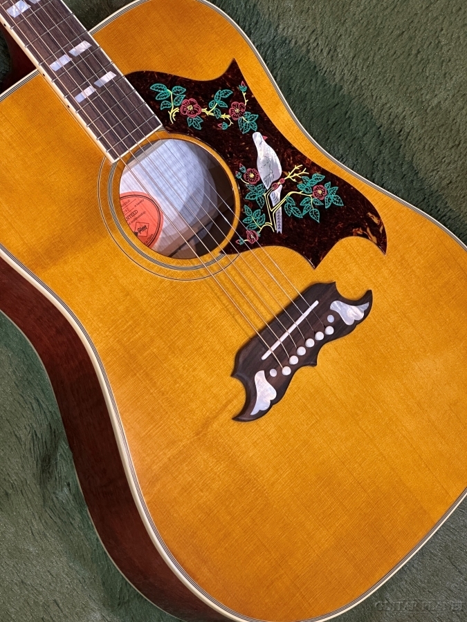 【プレゼント当選品】Epiphone DOVE NAアコースティックギター Epiphone 【数量限定エピフォン・アクセサリーパックプレゼント】DOVE