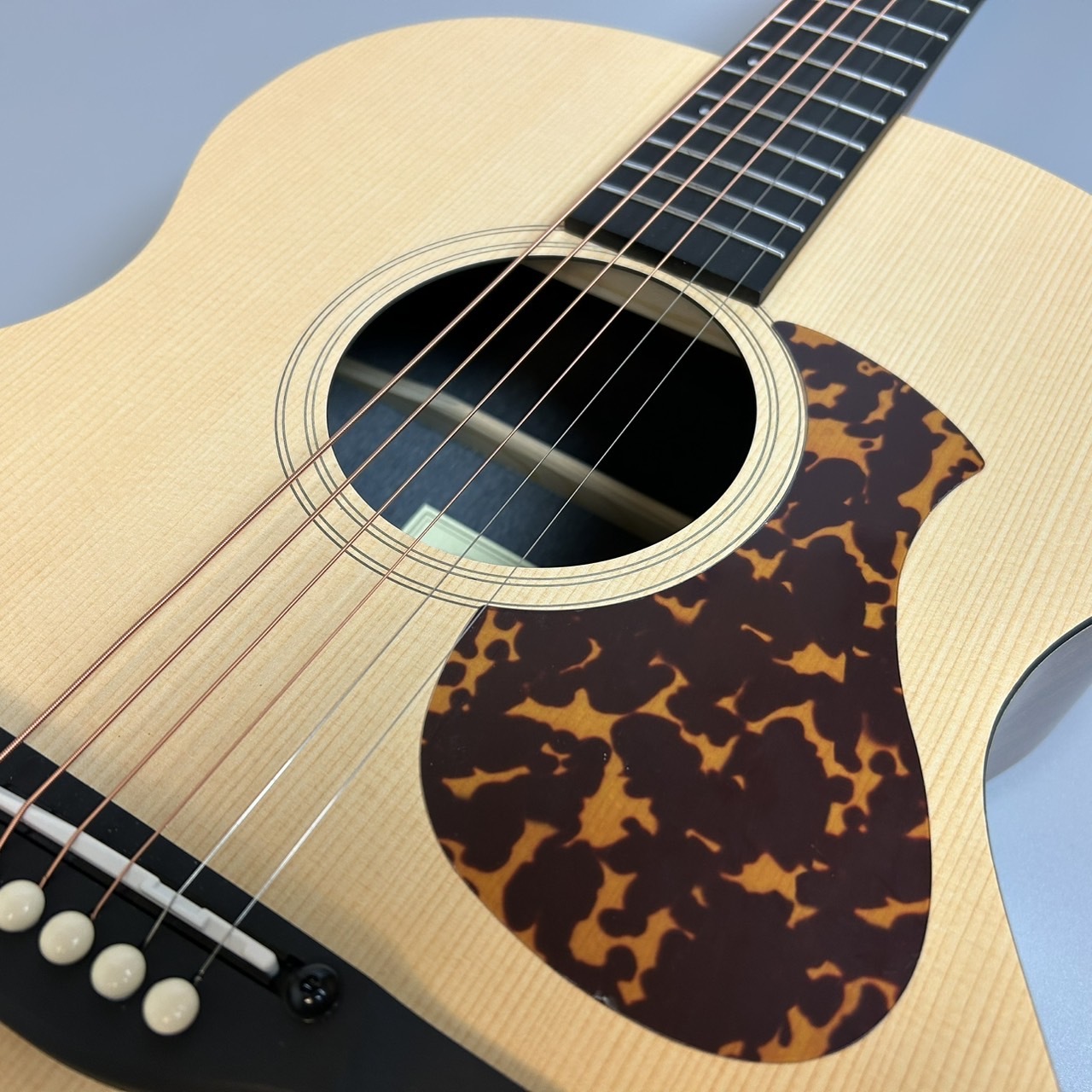 James J-100A SPT アコースティックギター ギグケース付属 スプルース 