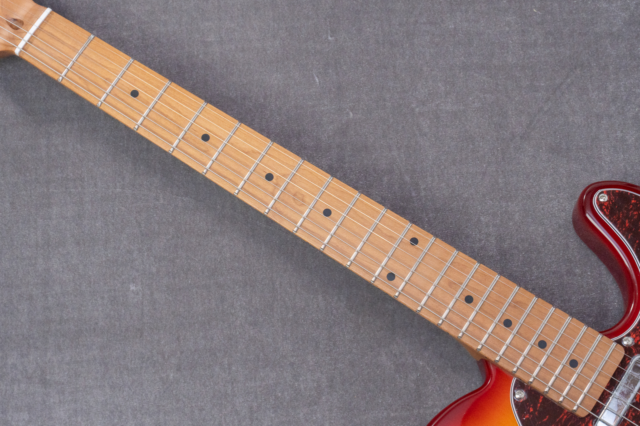 Bacchus BTE-1DX RSM/M CS【GIB兵庫】（新品/送料無料）【楽器検索