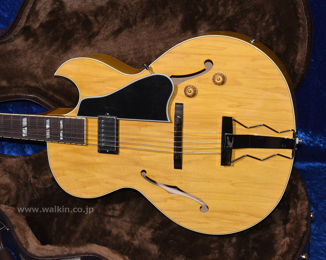Archtop Tribute AT105（新品）【楽器検索デジマート】