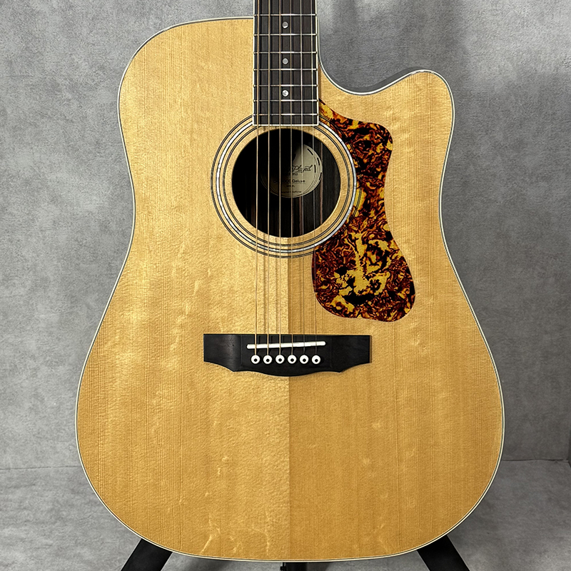 GUILD D-260CE Deluxe【加古川店】（中古/送料無料）【楽器検索