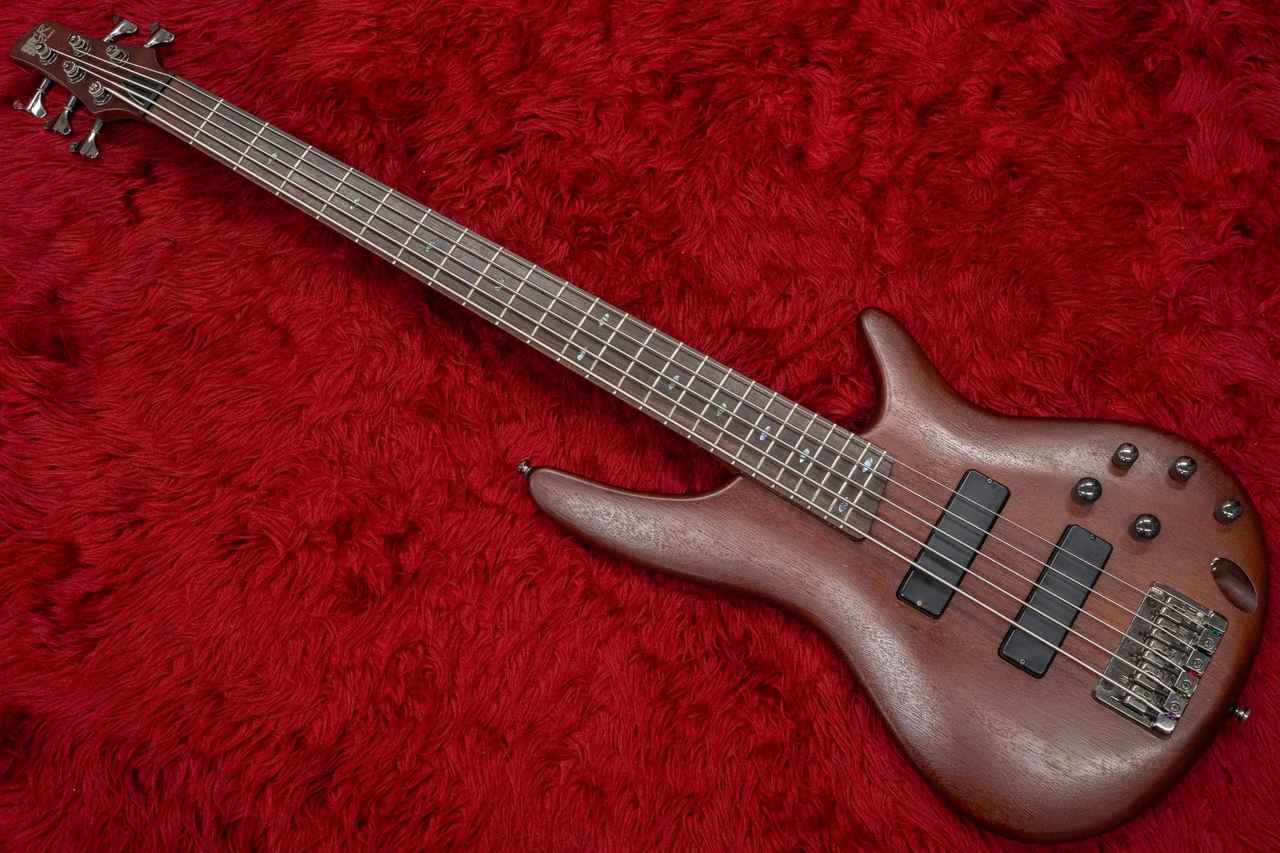 飯*園様 SR505 IBANEZ SR505E | SR | ELECTRIC BASSES | PRODUCTS | Ibanez guitars