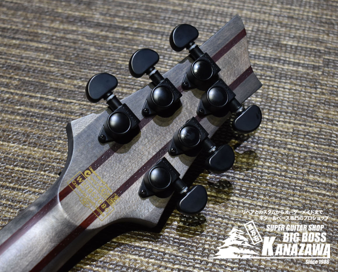 SCHECTER ( シェクター ) C-1 FR-S APOCALYPSE RED REIGN 送料