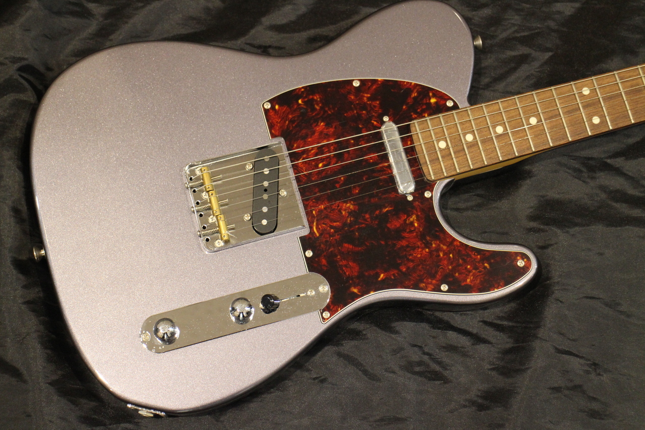 FUJIGEN(FGN) NTE 10 RAL CC（新品特価/送料無料）【楽器検索デジマート】