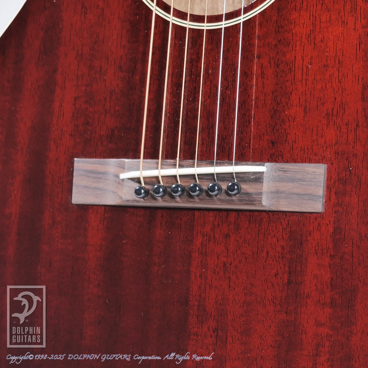 SWITCH SL-0 Irene【48回無金利キャンペーン発動中!】（新品）【楽器