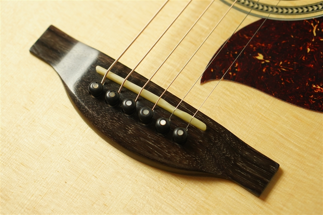 Starsun F120-GA Sitka Spruce / African Mahogany（新品/送料無料