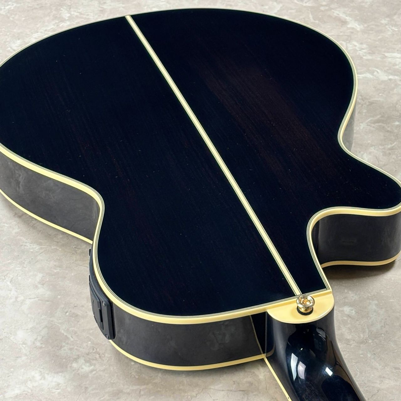 Takamine TSP10CS 630mmスケール【現物画像】アコースティックギター