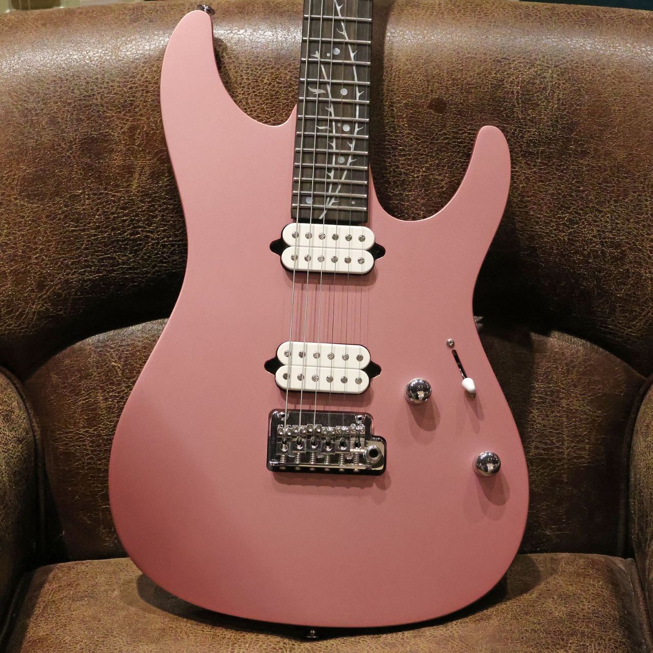 Ibanez TOD10 MM ティムヘンソン シグネイチャーモデル【現物写真】Kg