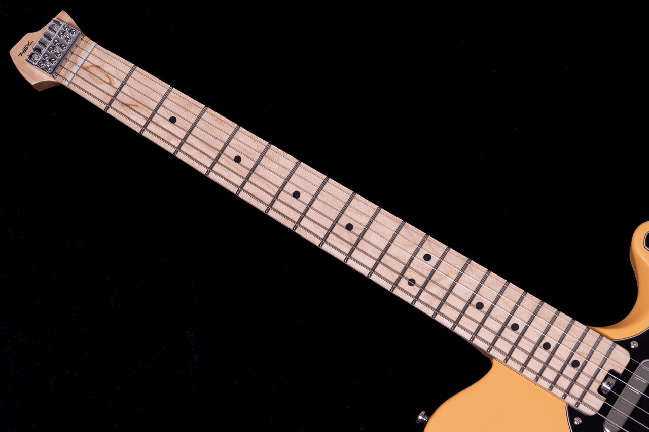 HEX Guitars NT100M S/BSC（新品/送料無料）【楽器検索デジマート】