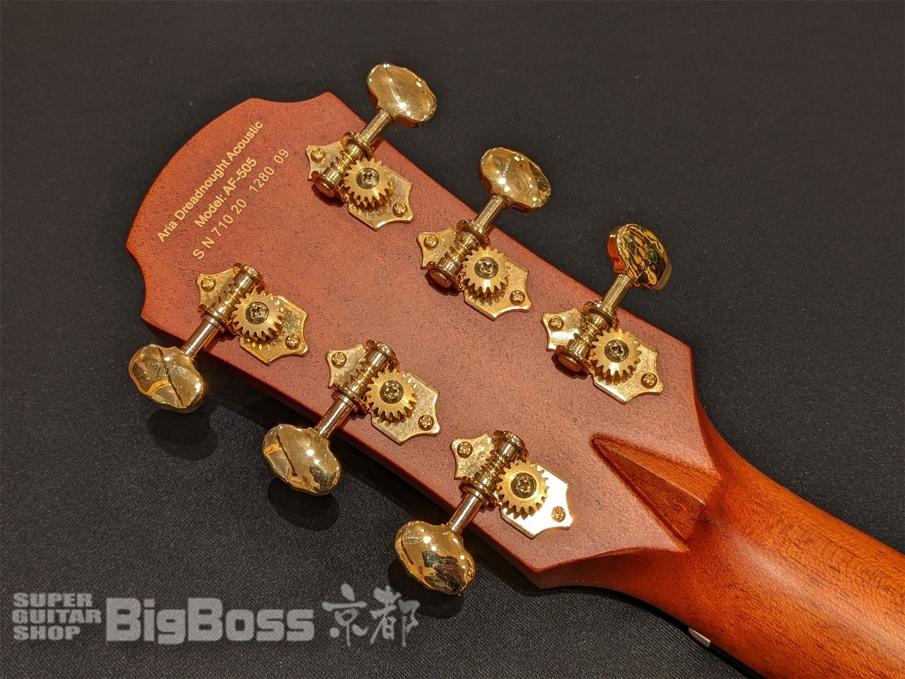 ARIA AF-505 Tobacco Sunburst（新品/送料無料）【楽器検索デジマート】