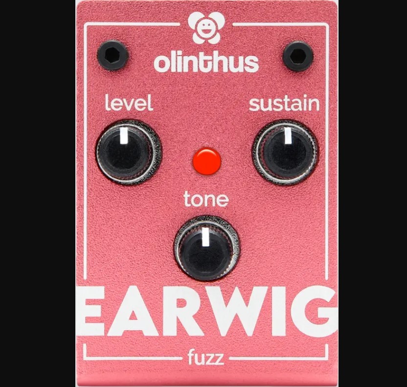 Olinthus EARWIG ファズ【国内正規品】【渋谷店】（新品）【楽器検索