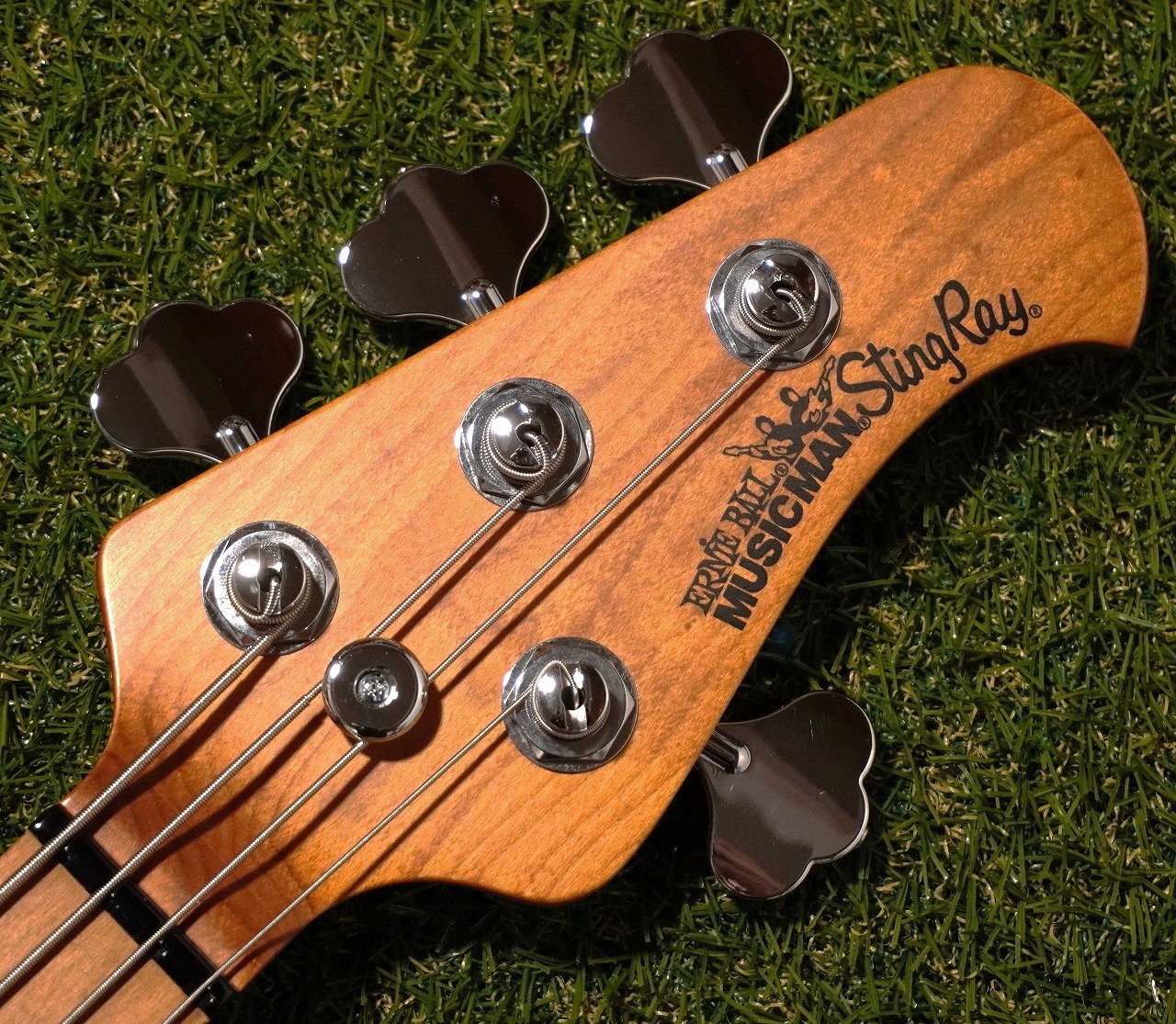 ベース Musicman stingray4 EX MUSICMAN(ミュージックマン) / StingRay EX 4 Fretless MOD エレキ