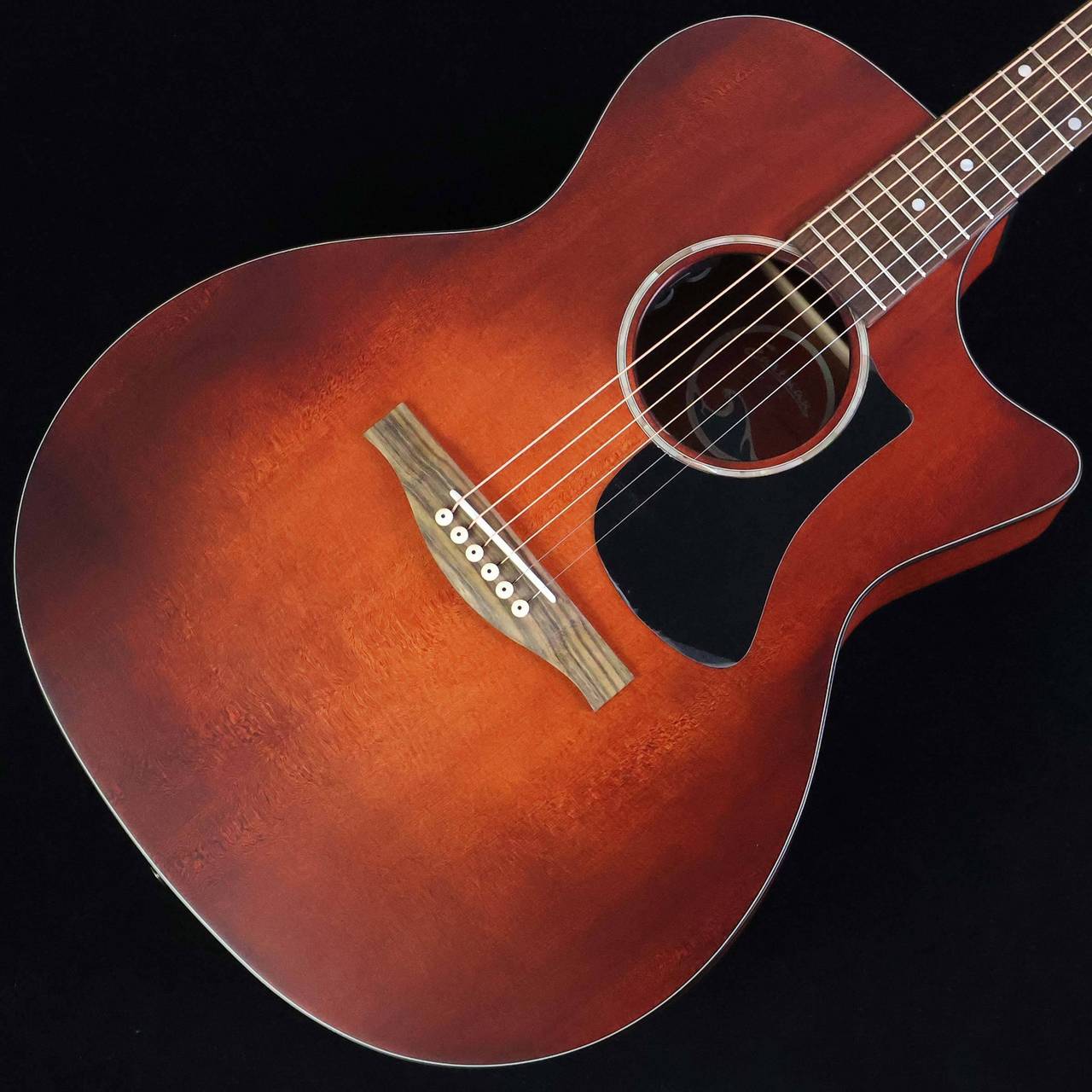 Eastman PCH1-GACE-CLA S/N：M2606616 【エレアコ】 【未展示品