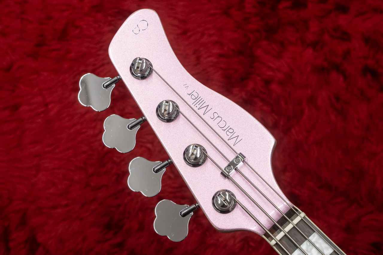 Sire V7 Alder-4 BUR #2N3342097 4.565kg【GIB横浜】（新品/送料無料