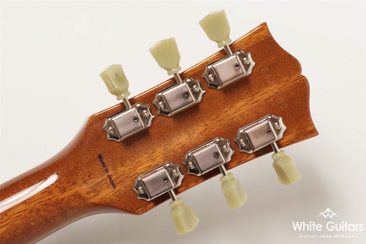 tokaiギター TOKAI LS302S-CM GT|ドルフィンギターズ