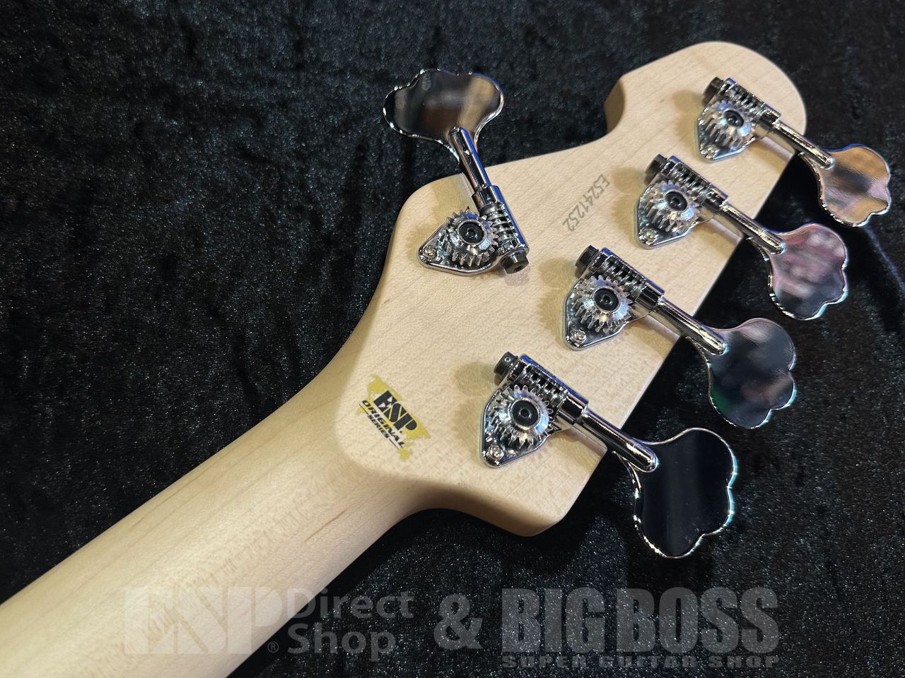ESP AMAZE-AS-5 【Driftwood White w/Black Filler】（新品/送料無料