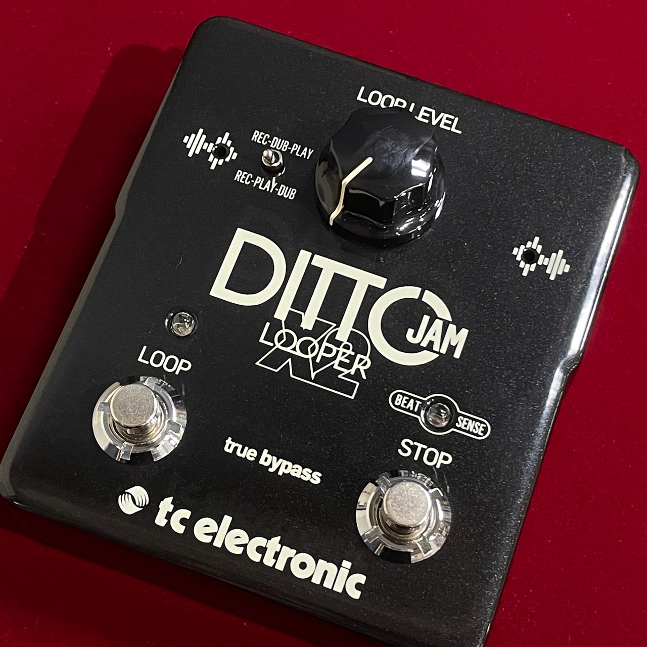 tc electronic DITTO JAM X2 LOOPER 【在庫入替特価・限定1台】【送料